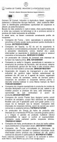Microsoft Word - CCIA2.doc