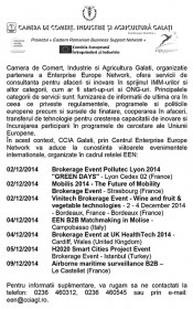 Microsoft Word - CCIA2.doc