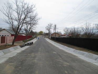 ivesti (5)